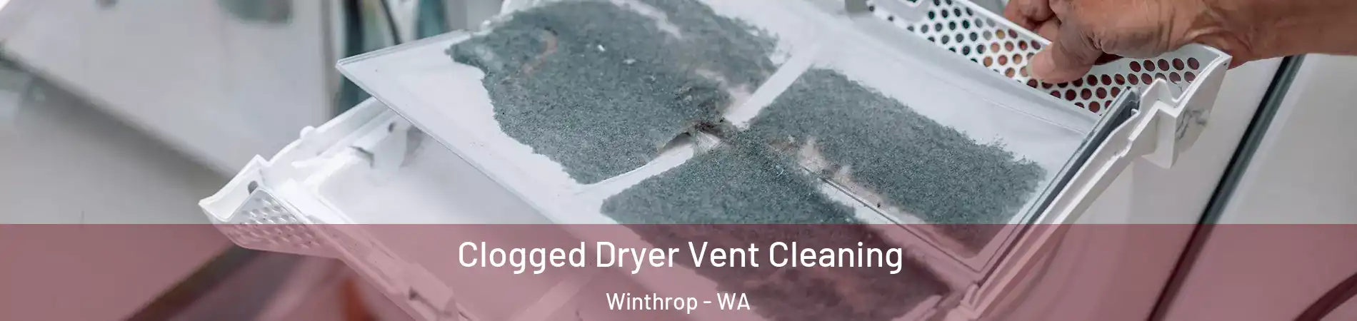 Clogged Dryer Vent Cleaning Winthrop - WA