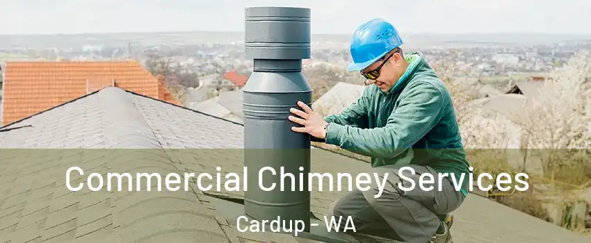 Commercial Chimney Services Cardup - WA