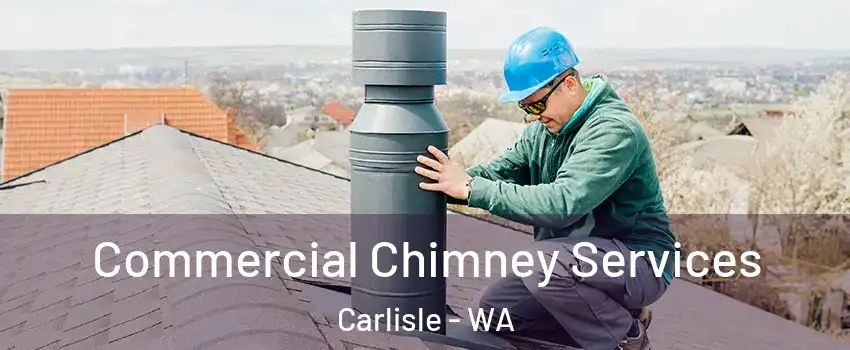 Commercial Chimney Services Carlisle - WA