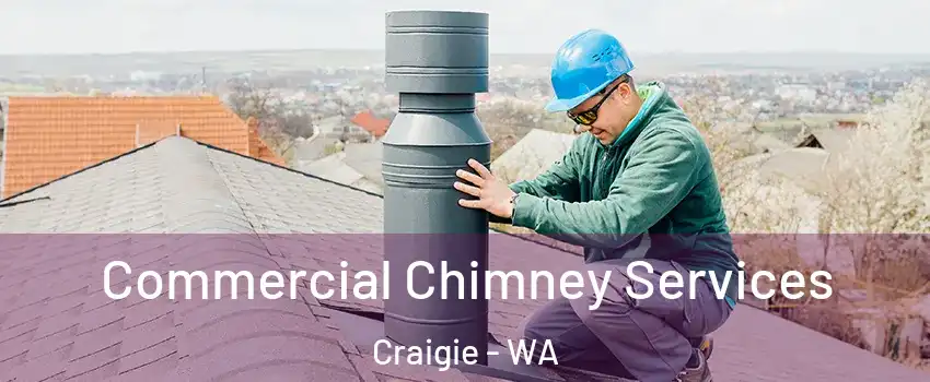 Commercial Chimney Services Craigie - WA
