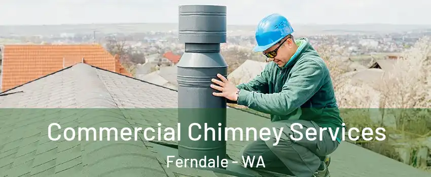 Commercial Chimney Services Ferndale - WA