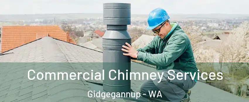 Commercial Chimney Services Gidgegannup - WA