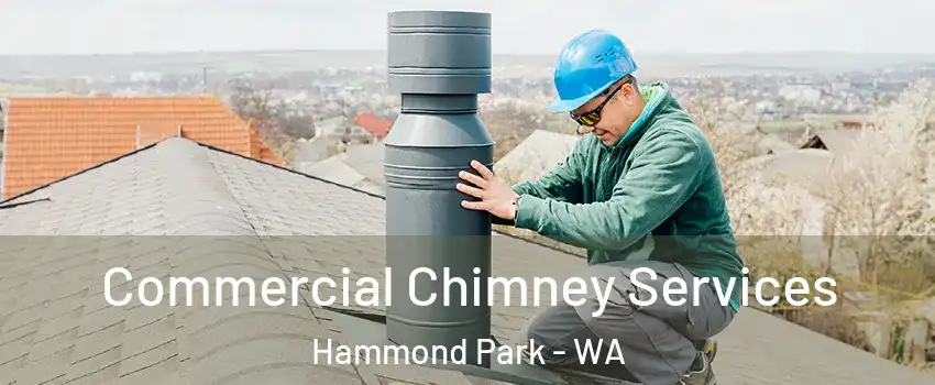 Commercial Chimney Services Hammond Park - WA