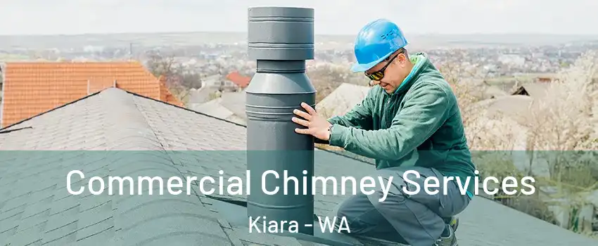  Commercial Chimney Services Kiara - WA