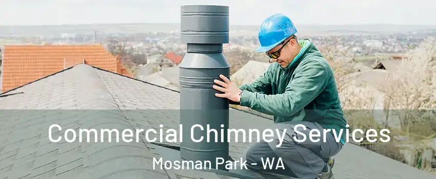 Commercial Chimney Services Mosman Park - WA