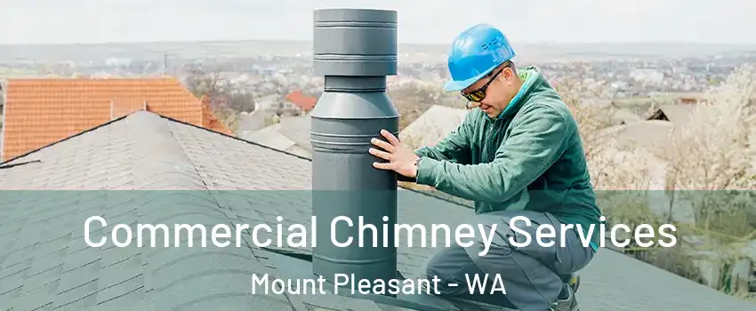Commercial Chimney Services Mount Pleasant - WA