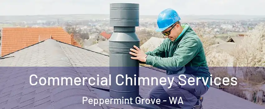 Commercial Chimney Services Peppermint Grove - WA