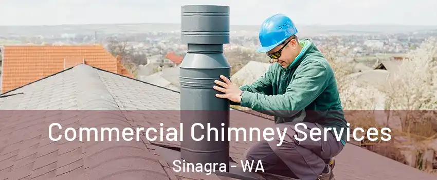 Commercial Chimney Services Sinagra - WA
