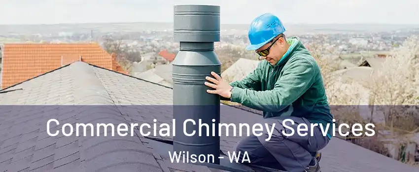 Commercial Chimney Services Wilson - WA
