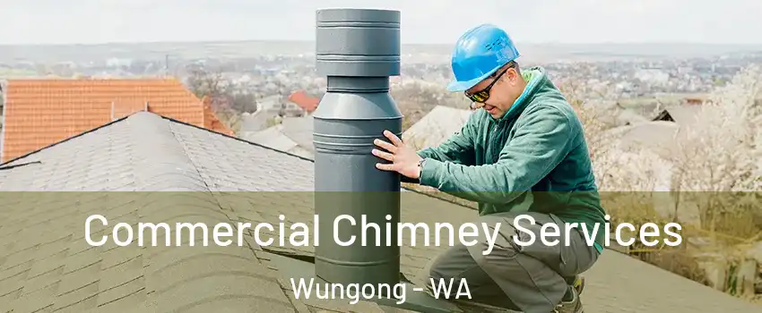 Commercial Chimney Services Wungong - WA
