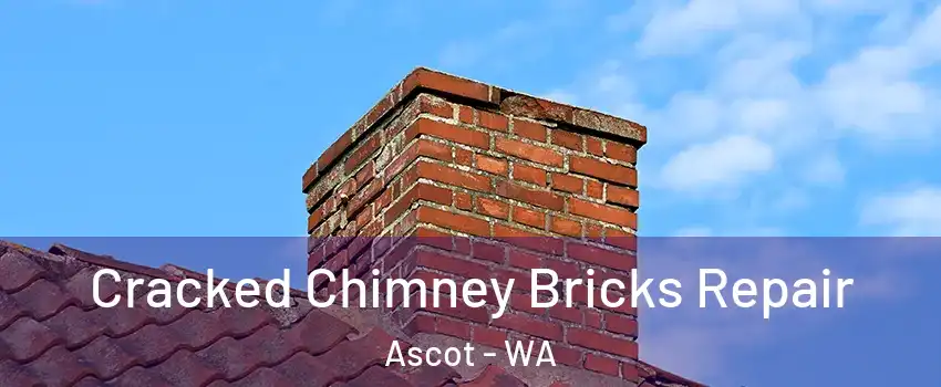Cracked Chimney Bricks Repair Ascot - WA