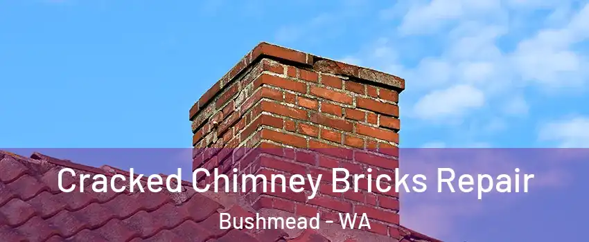 Cracked Chimney Bricks Repair Bushmead - WA