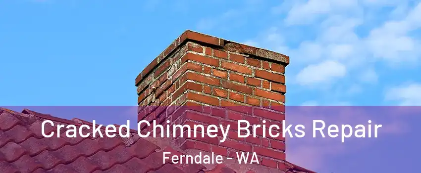 Cracked Chimney Bricks Repair Ferndale - WA