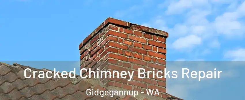 Cracked Chimney Bricks Repair Gidgegannup - WA