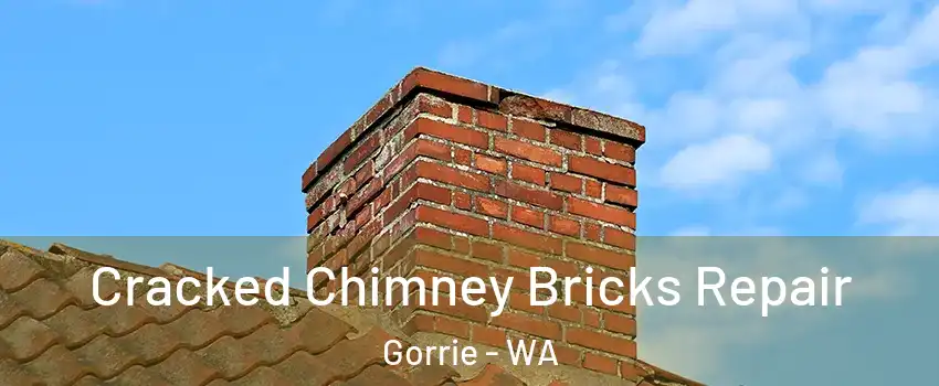 Cracked Chimney Bricks Repair Gorrie - WA