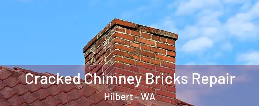 Cracked Chimney Bricks Repair Hilbert - WA