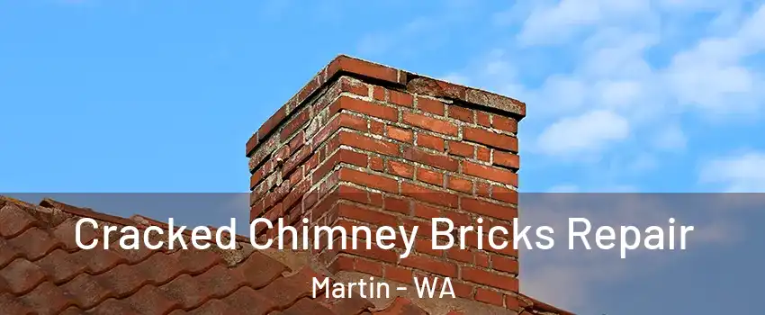 Cracked Chimney Bricks Repair Martin - WA