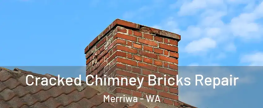Cracked Chimney Bricks Repair Merriwa - WA