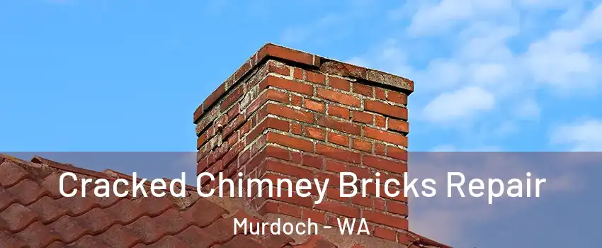Cracked Chimney Bricks Repair Murdoch - WA