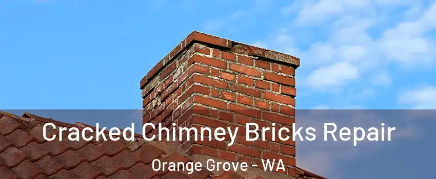Cracked Chimney Bricks Repair Orange Grove - WA