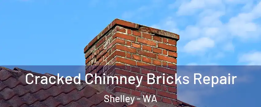 Cracked Chimney Bricks Repair Shelley - WA