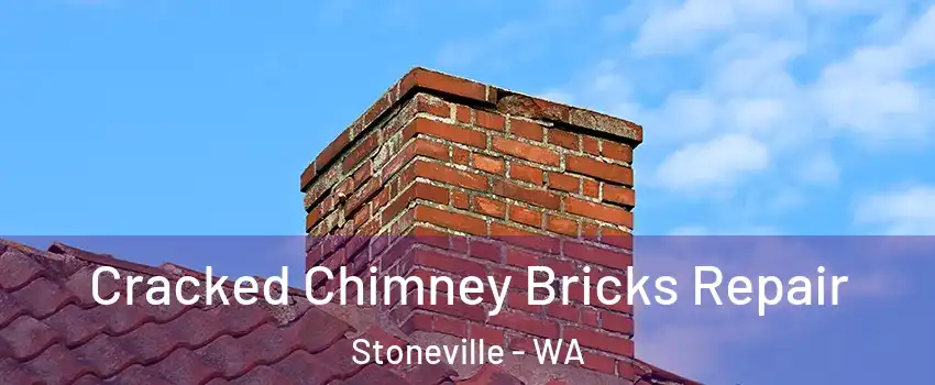 Cracked Chimney Bricks Repair Stoneville - WA