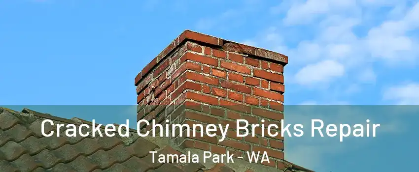 Cracked Chimney Bricks Repair Tamala Park - WA