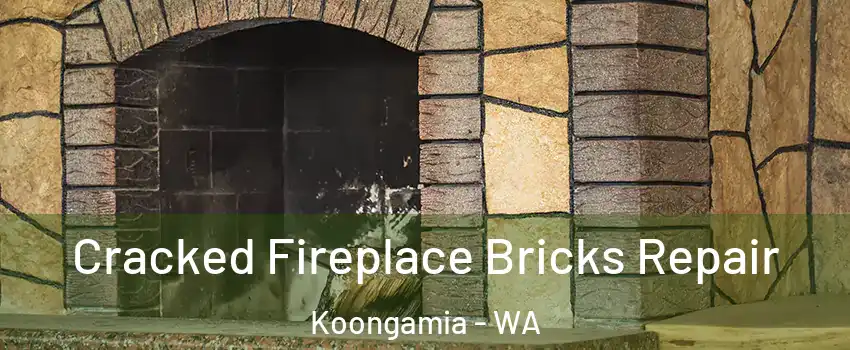 Cracked Fireplace Bricks Repair Koongamia - WA