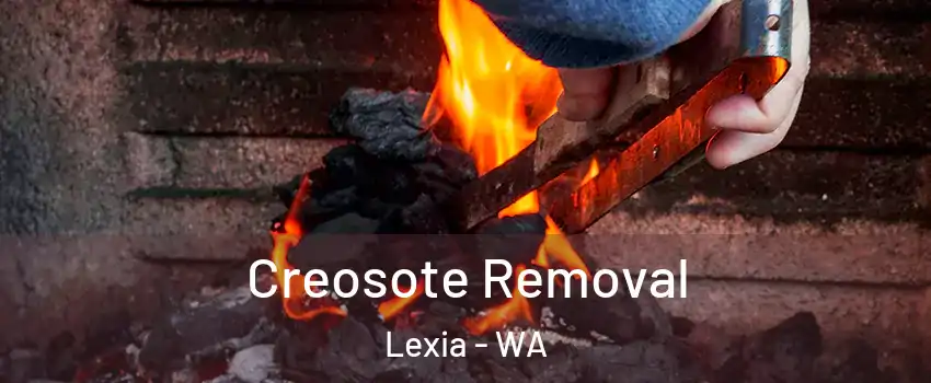 Creosote Removal Lexia - WA