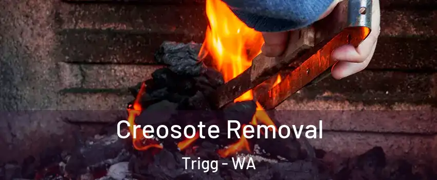 Creosote Removal Trigg - WA