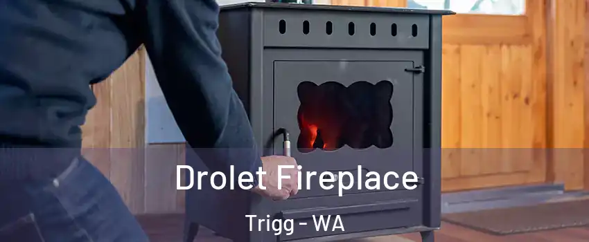 Drolet Fireplace Trigg - WA