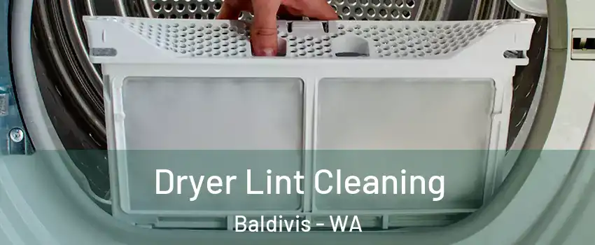 Dryer Lint Cleaning Baldivis - WA