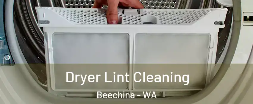 Dryer Lint Cleaning Beechina - WA