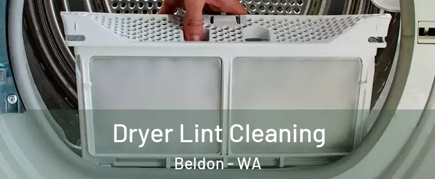  Dryer Lint Cleaning Beldon - WA