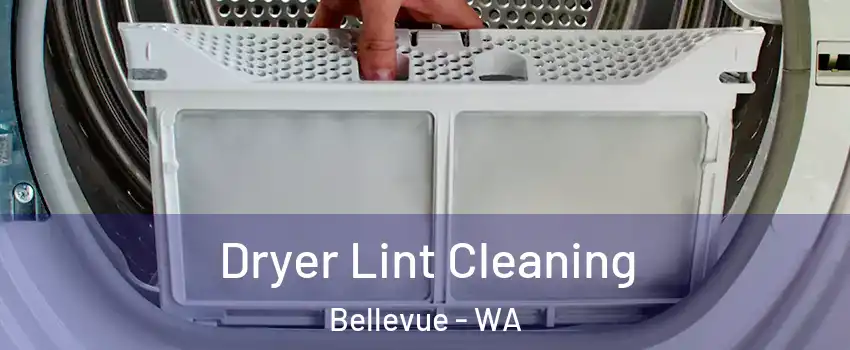 Dryer Lint Cleaning Bellevue - WA