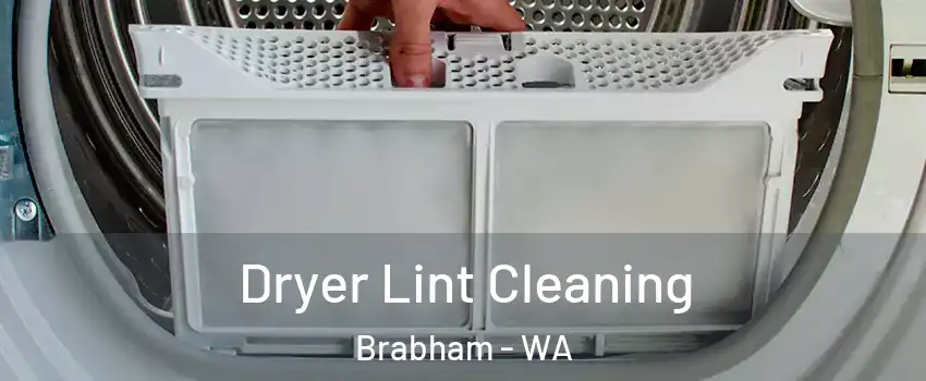 Dryer Lint Cleaning Brabham - WA