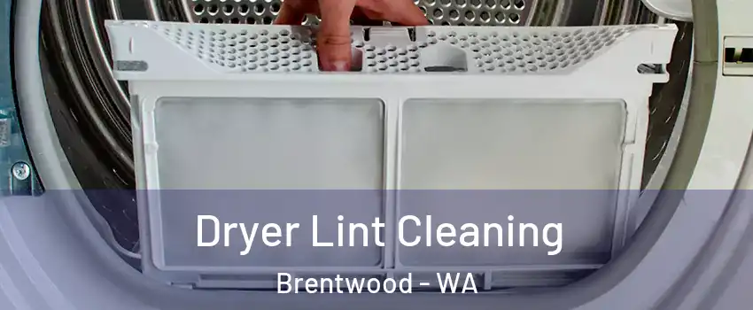 Dryer Lint Cleaning Brentwood - WA