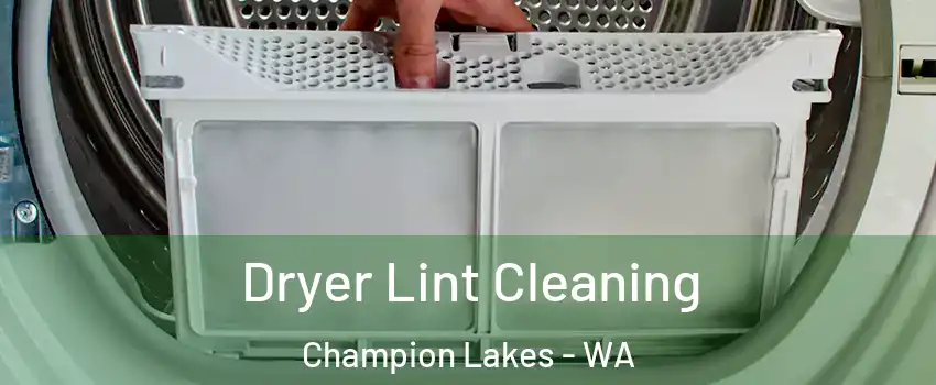 Dryer Lint Cleaning Champion Lakes - WA