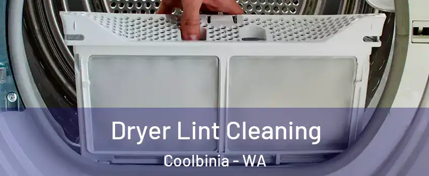 Dryer Lint Cleaning Coolbinia - WA