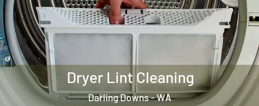 Dryer Lint Cleaning Darling Downs - WA