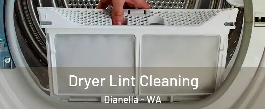 Dryer Lint Cleaning Dianella - WA