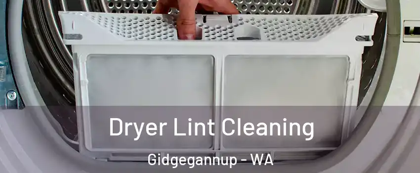 Dryer Lint Cleaning Gidgegannup - WA