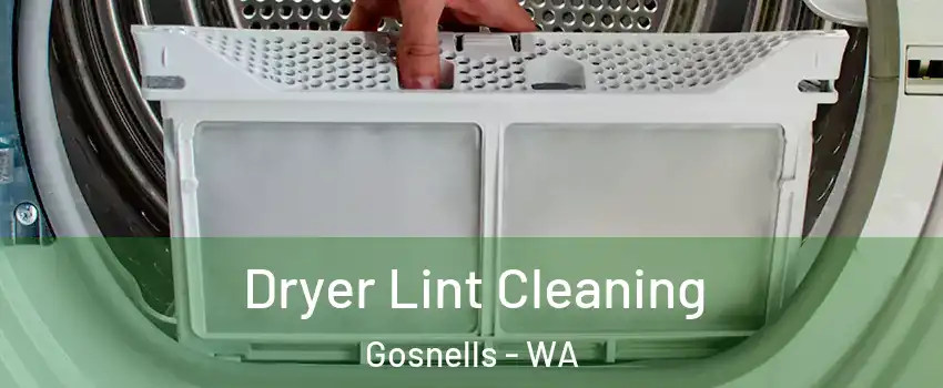 Dryer Lint Cleaning Gosnells - WA