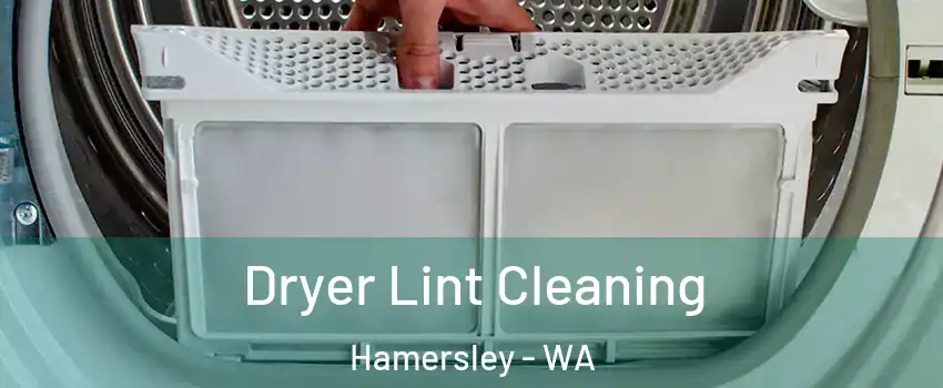 Dryer Lint Cleaning Hamersley - WA