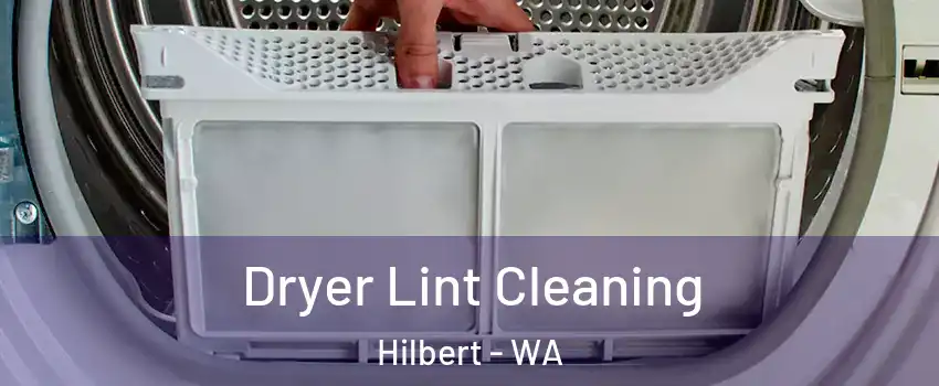  Dryer Lint Cleaning Hilbert - WA