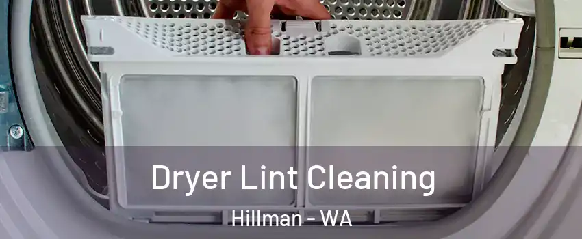 Dryer Lint Cleaning Hillman - WA