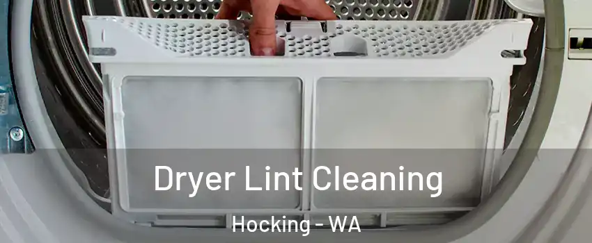 Dryer Lint Cleaning Hocking - WA