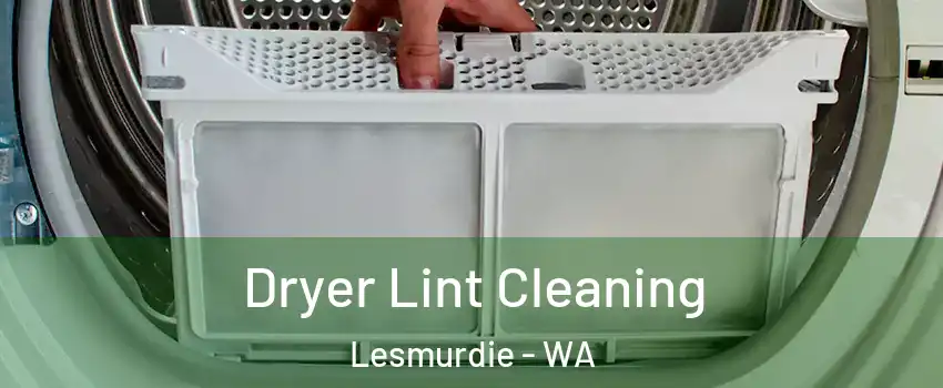 Dryer Lint Cleaning Lesmurdie - WA
