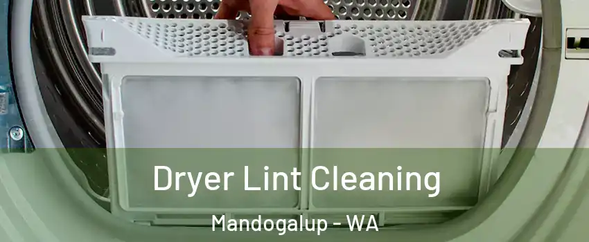 Dryer Lint Cleaning Mandogalup - WA