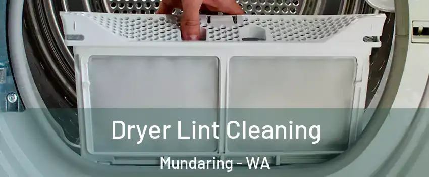 Dryer Lint Cleaning Mundaring - WA